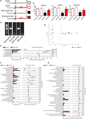 Manipulation of Gut Microbiota Influences Immune Responses, Axon Preservation, and <mark class="highlighted">Motor Disability</mark> in a Model of Progressive Multiple Sclerosis